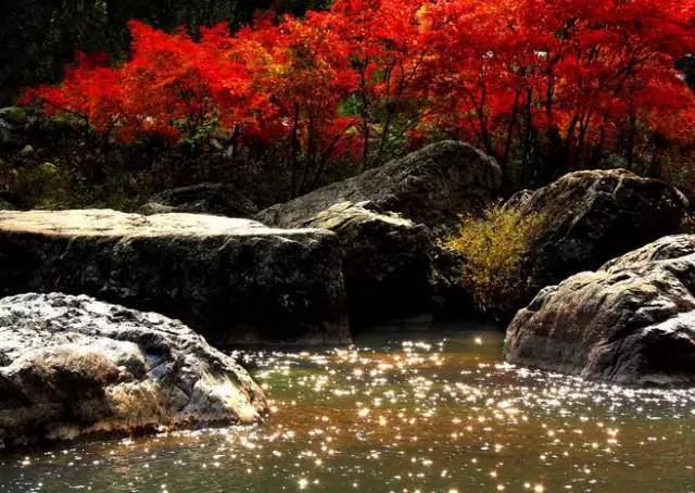 沈阳最美赏枫地最新开放,沈阳附近赏枫