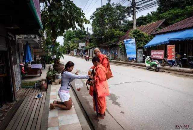 我们相爱吧无尾熊插曲,我们相爱吧无尾熊探班