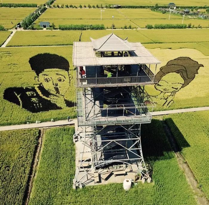 沈阳稻梦空间,沈阳稻梦空间星空