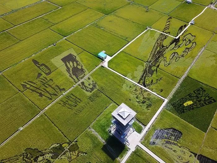 沈阳稻梦空间,沈阳稻梦空间星空