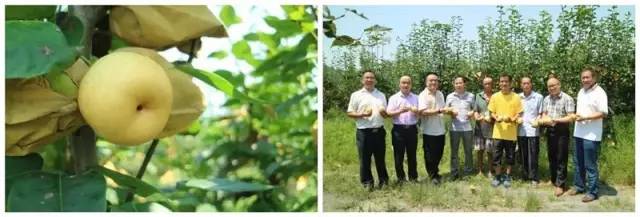 邮乐919启动,邮乐919购物节直播