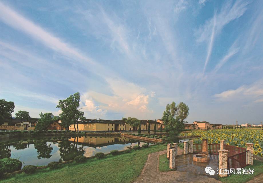 瑞金共和摇篮杯2023,瑞金共和摇篮要不要钱