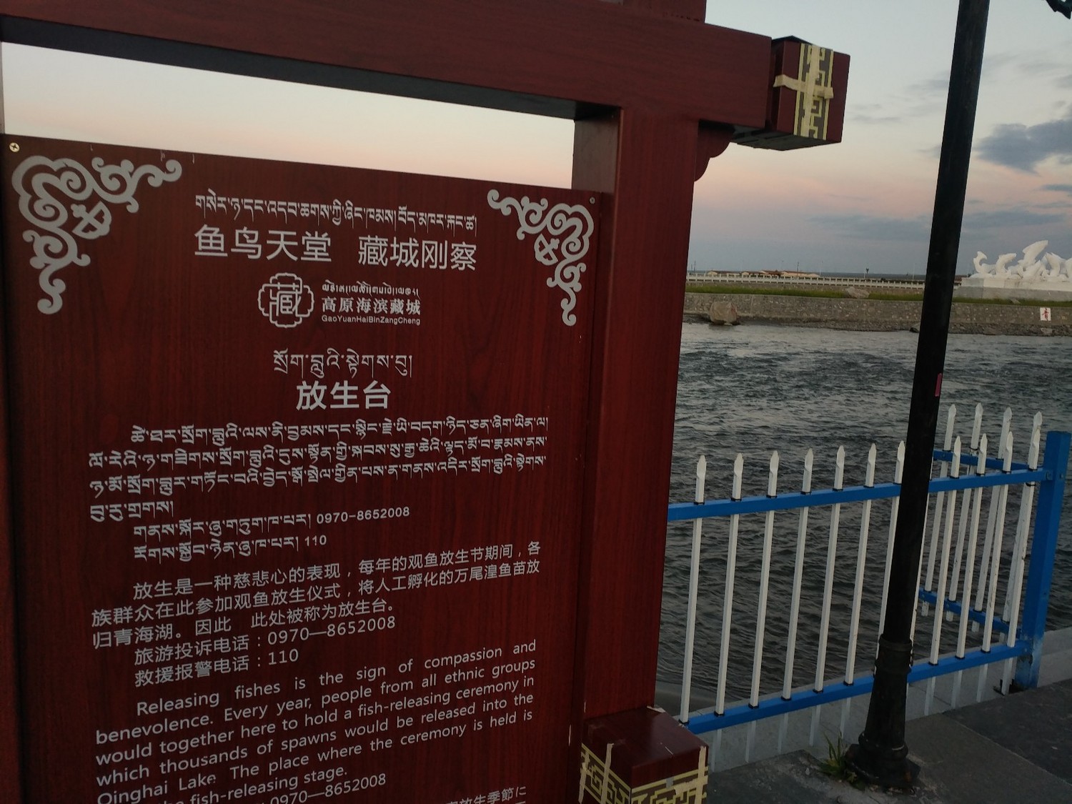 青海湟鱼家园,青海的湟鱼家园