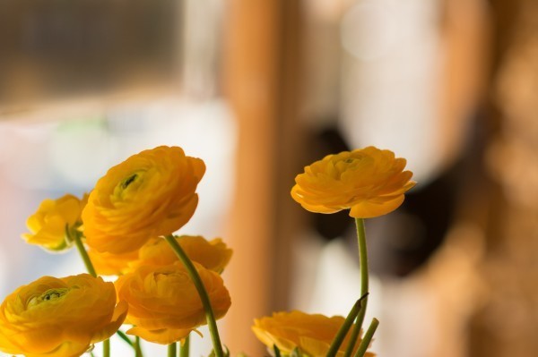 Hi,我是小可,我又回来了,产后第一次出行,娘子军奔赴女儿国