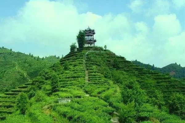 广西山清水秀好风光,广西山清水秀风景图片