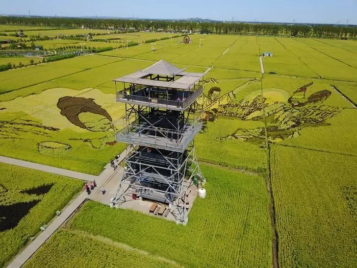 沈阳稻梦空间,沈阳稻梦空间星空