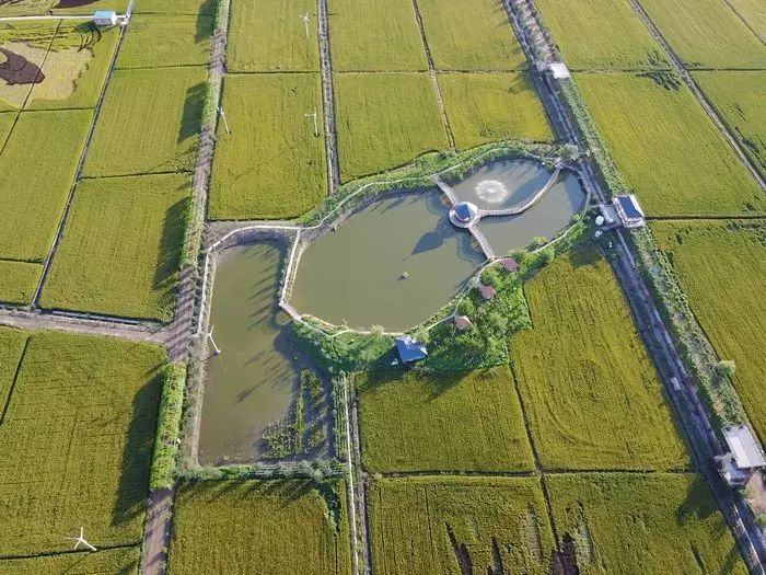 沈阳稻梦空间稻田,沈阳稻梦空间