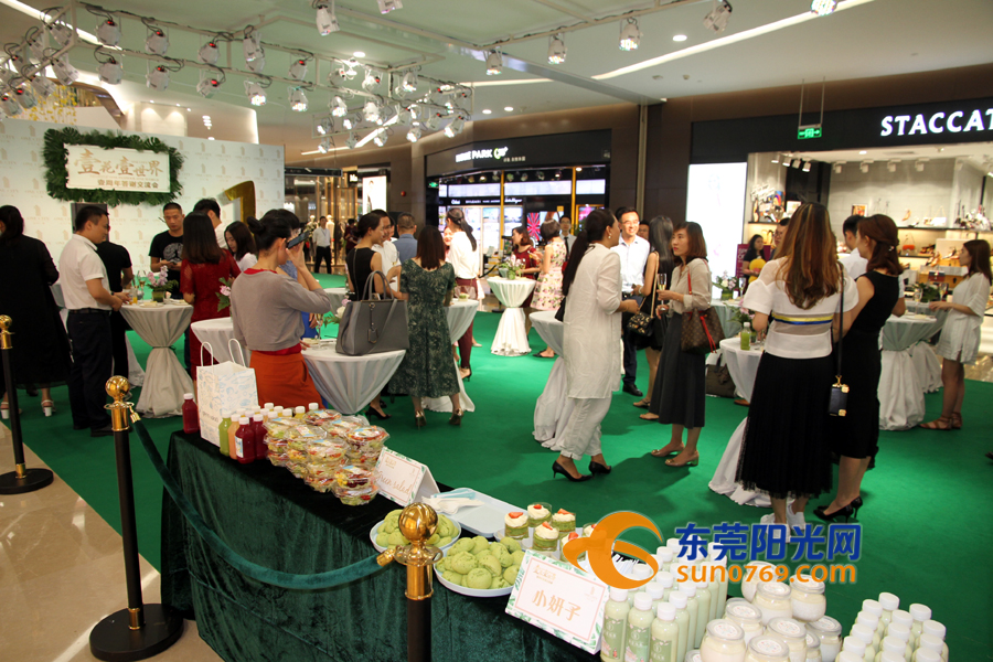 东莞海德壹号广场新开的展会,南城海德壹号广场