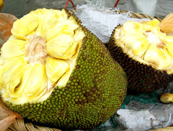 美丽的河口一日游,秋色正好邂逅大美河口