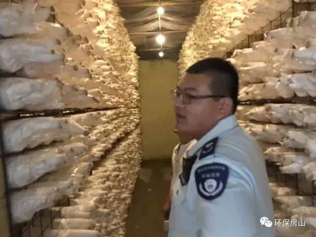 北京关于环保执法的最新规定,朝阳区环保整改