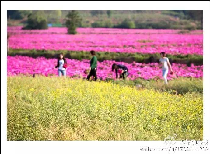 大局已定还要继续努力吗,大局已定扭转乾坤