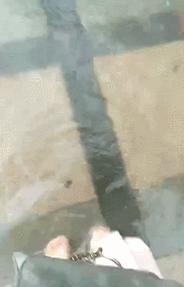 东莞市南城街道淹了没,东莞大雨哪几个镇不会被淹