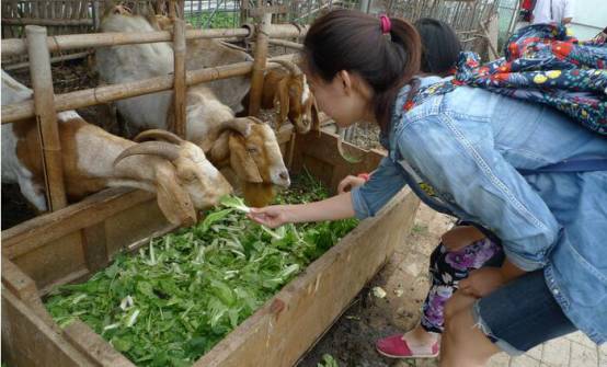 想做一家农场,有机农场和生态农场的区别