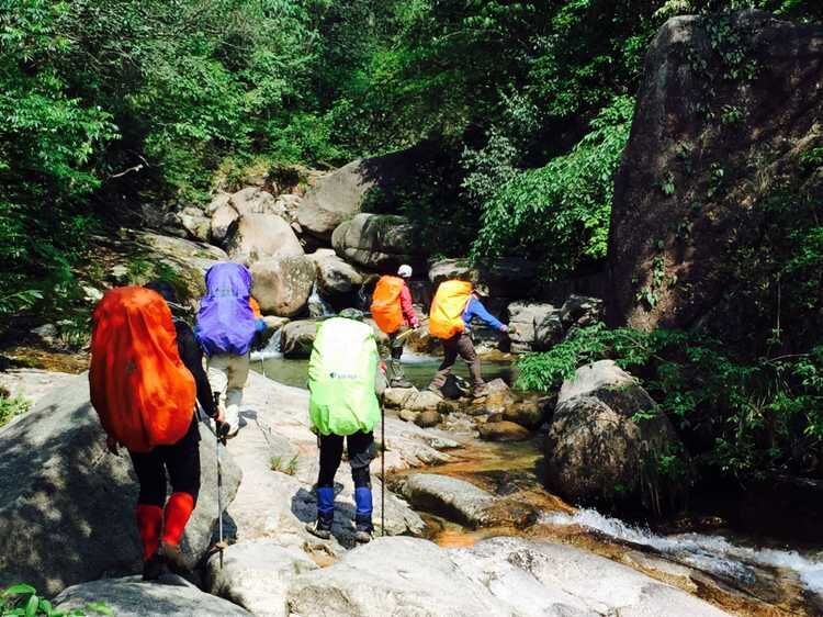 走近你就走进了痛苦出自哪里,走近你就是走近痛苦