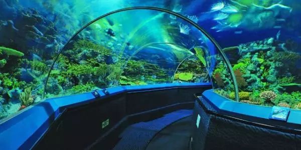 五一期间银川有哪些免费景点,银川四月免门票的地方