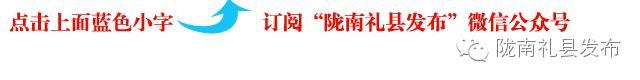 礼县扶贫工作,甘肃礼县产业扶贫项目