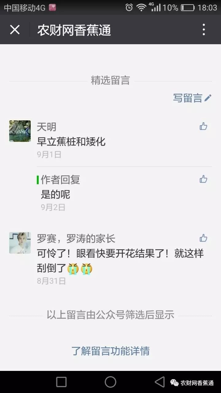 台风天天都有吗,香蕉防台风措施