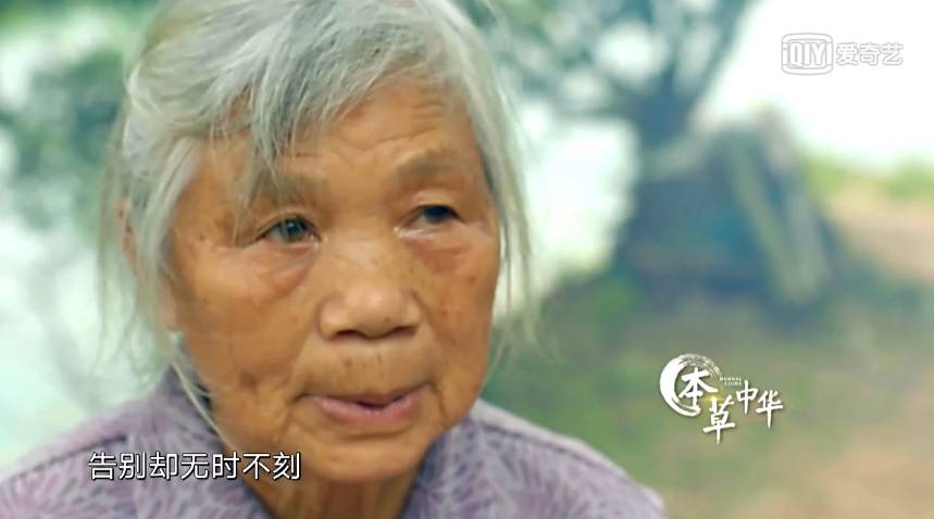 为了看这部豆瓣8.9的纪录片，我去商场买了一台4K电视