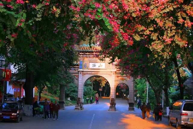 广西的地质奇观,广西喀斯特山里的奇观