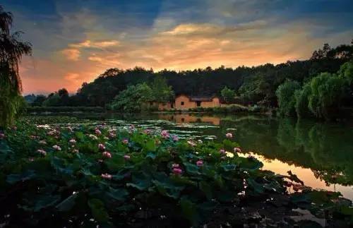 318家全国最新5a景区全名单请收好,带你看全国318家5a景区