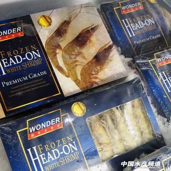 市场上厄瓜多尔白虾是真的吗,厄瓜多尔白虾还会落价么