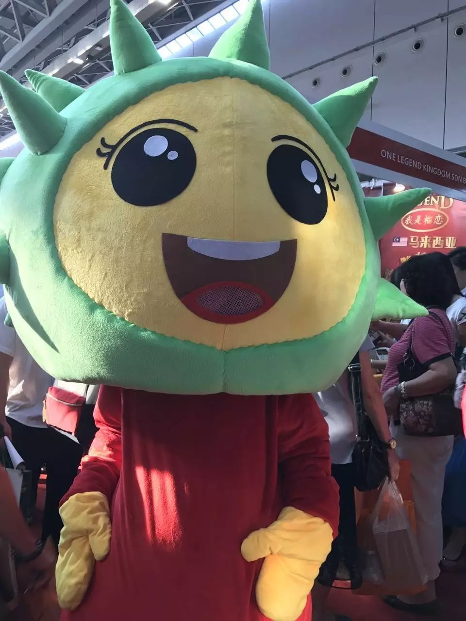 东盟博览会各国各地展览现场,东盟博览会高清