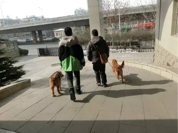 泰国清迈自驾游攻略,泰国到清迈自驾游最佳路线