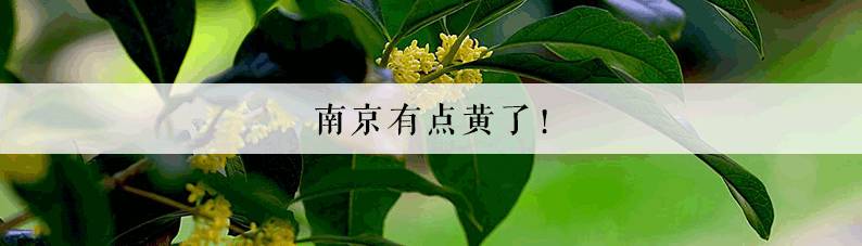 妈我们去划船的英文,妈我们去划船吧的英文