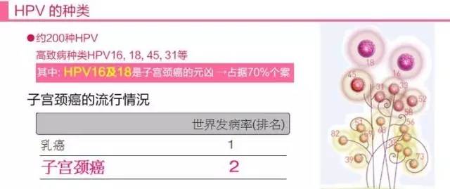 常州宫颈癌疫苗接种服务网点,常州打宫颈癌疫苗哪里打