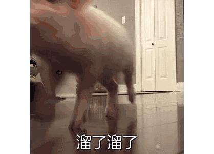 富士康的薪资水平,南京富士康工资待遇怎么样