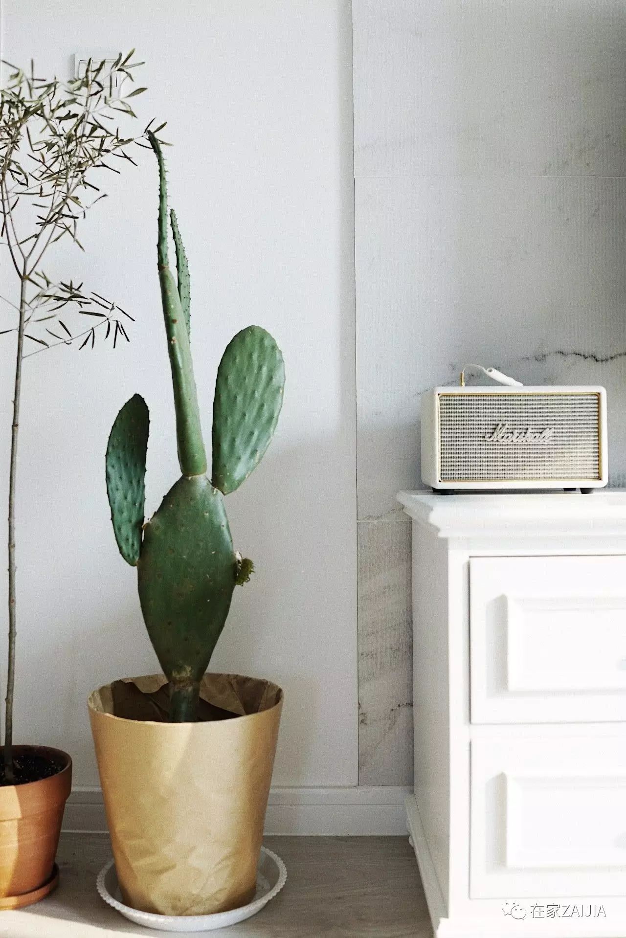 20万装修预算需要请设计吗,20万预算的装修设计