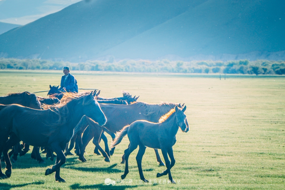 现代中国赤兔马,当代赤兔马