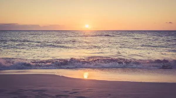 保洁西施打扫卫生,保洁西施视频