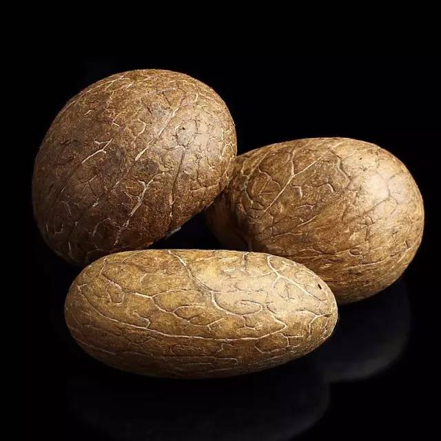 象牙果工艺品好吗,雕刻艺术果雕