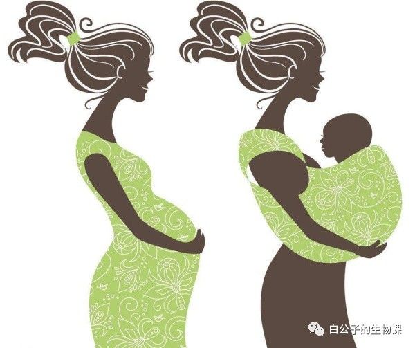 怀孕摔倒了对宝宝有影响吗,怀孕第一个月摔了一跤会流产吗