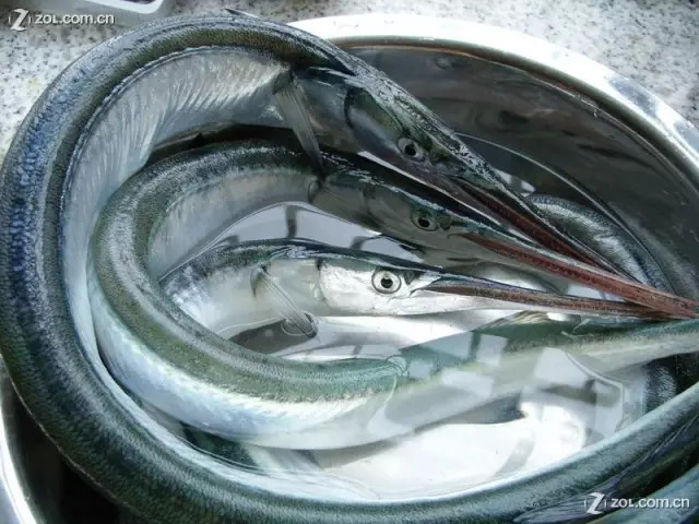 闀垮矝绉嬪ぉ娴烽矞,闀垮矝娣℃贰娓呴