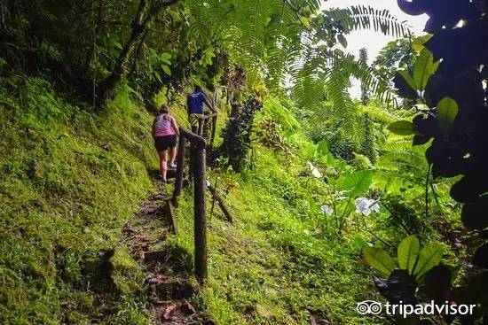 免签的海岛国家,斐济美丽的海滩