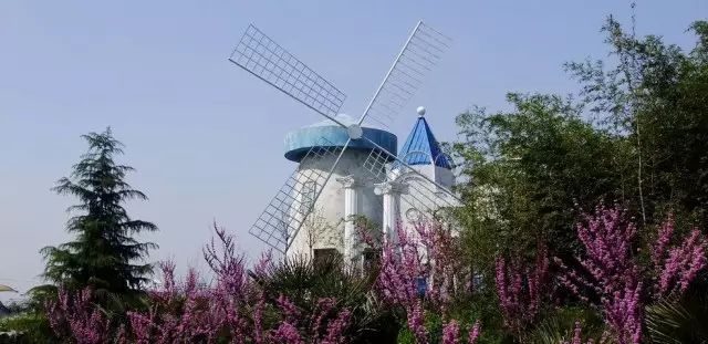 白鹿原葡萄主题公园,西安附近葡萄主题公园