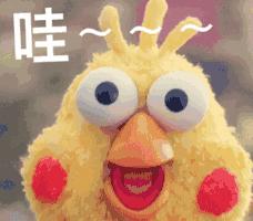 羽毛球羽坛第一人,深圳南山羽毛球馆