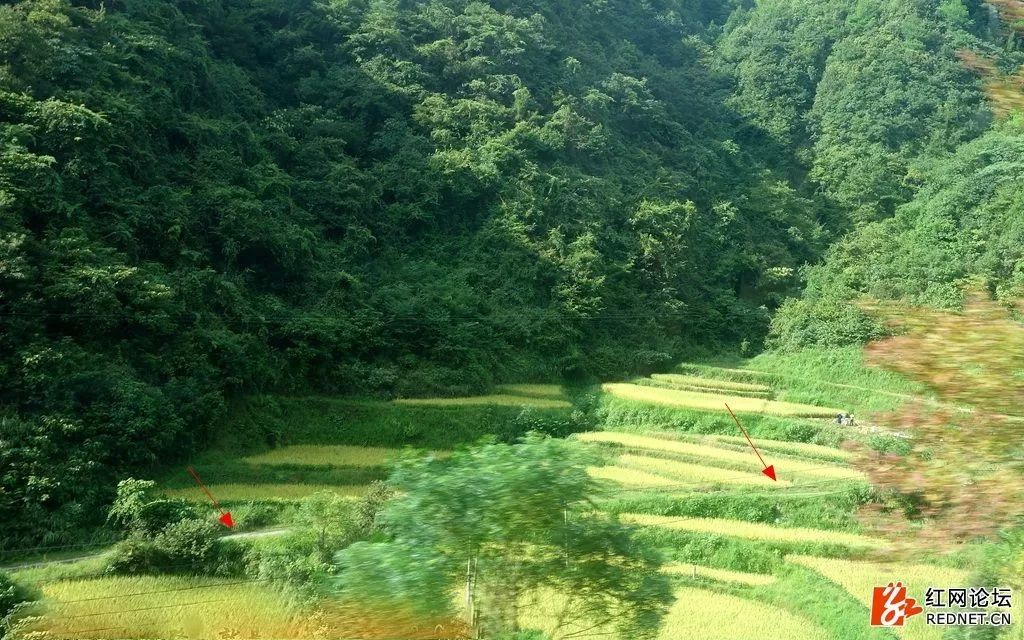 湖南最偏远最原始的村落,湖南大山藏着一个世外桃源