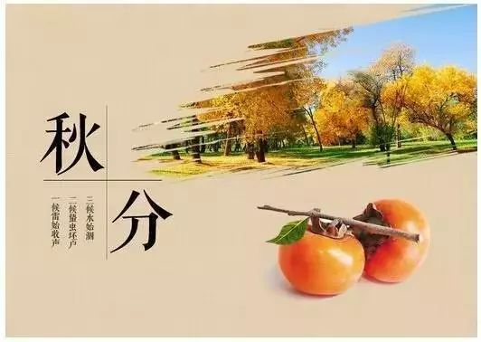 看看有关秋分的诗词,秋分的好文好诗