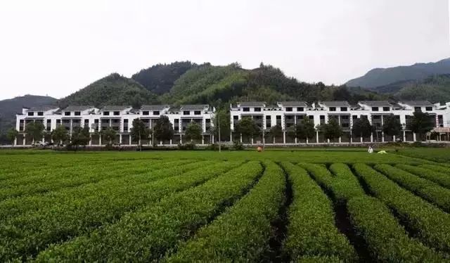 3天2夜！秋日带你去这座绝美山城体验不一样的“慢旅行”！