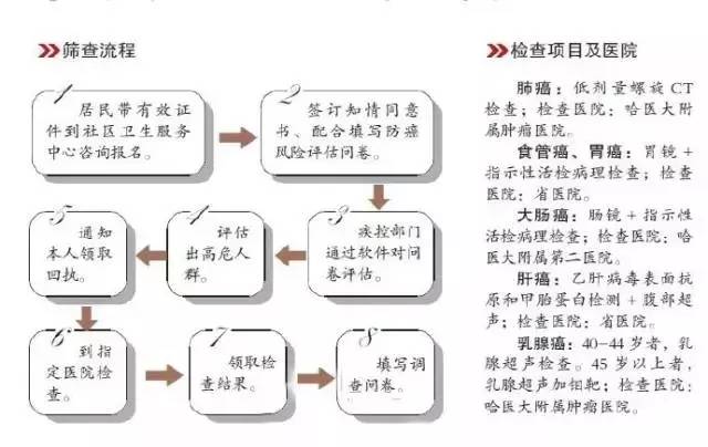哈尔滨有什么挣钱的新项目求推荐,哈市挣钱的项目