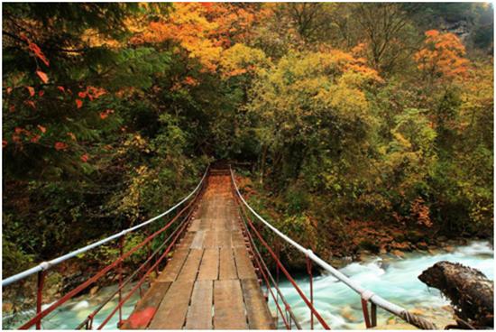 踏秋之旅,宝兴东拉山大峡谷红叶