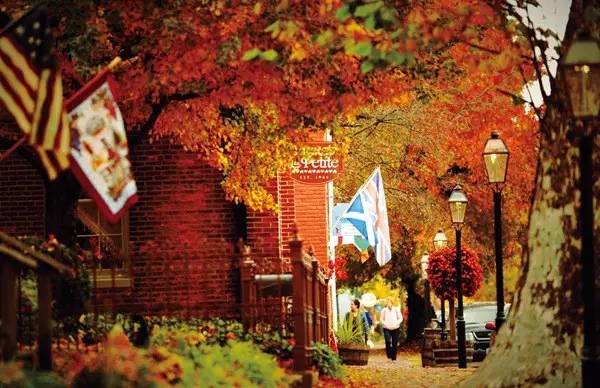 不止眼前的苟且还有远方的苟且,生活不止眼前的苟且还有远方英文