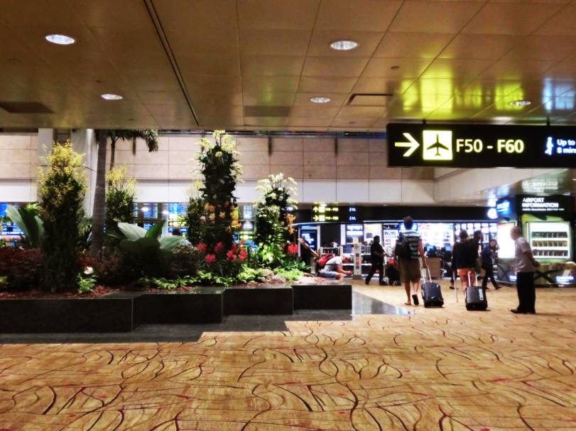 机场免税店购物需要什么样的机票,机场免税店购物全攻略首都机场