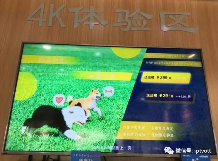 「独家」上海IPTV体验及三大运营商营业厅视频业务展示对比