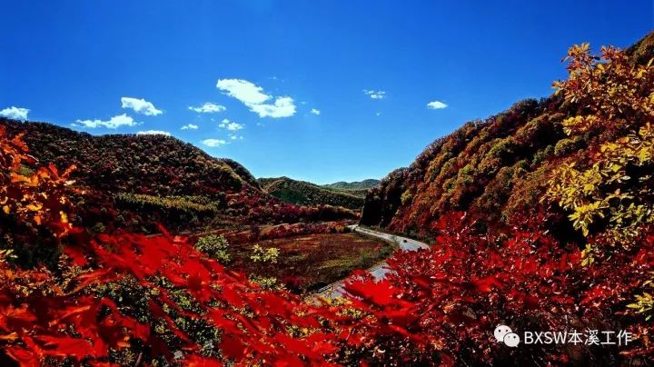 全年最美模式｜本溪预计接待游客650万人次交警送上全新“出行攻略”！