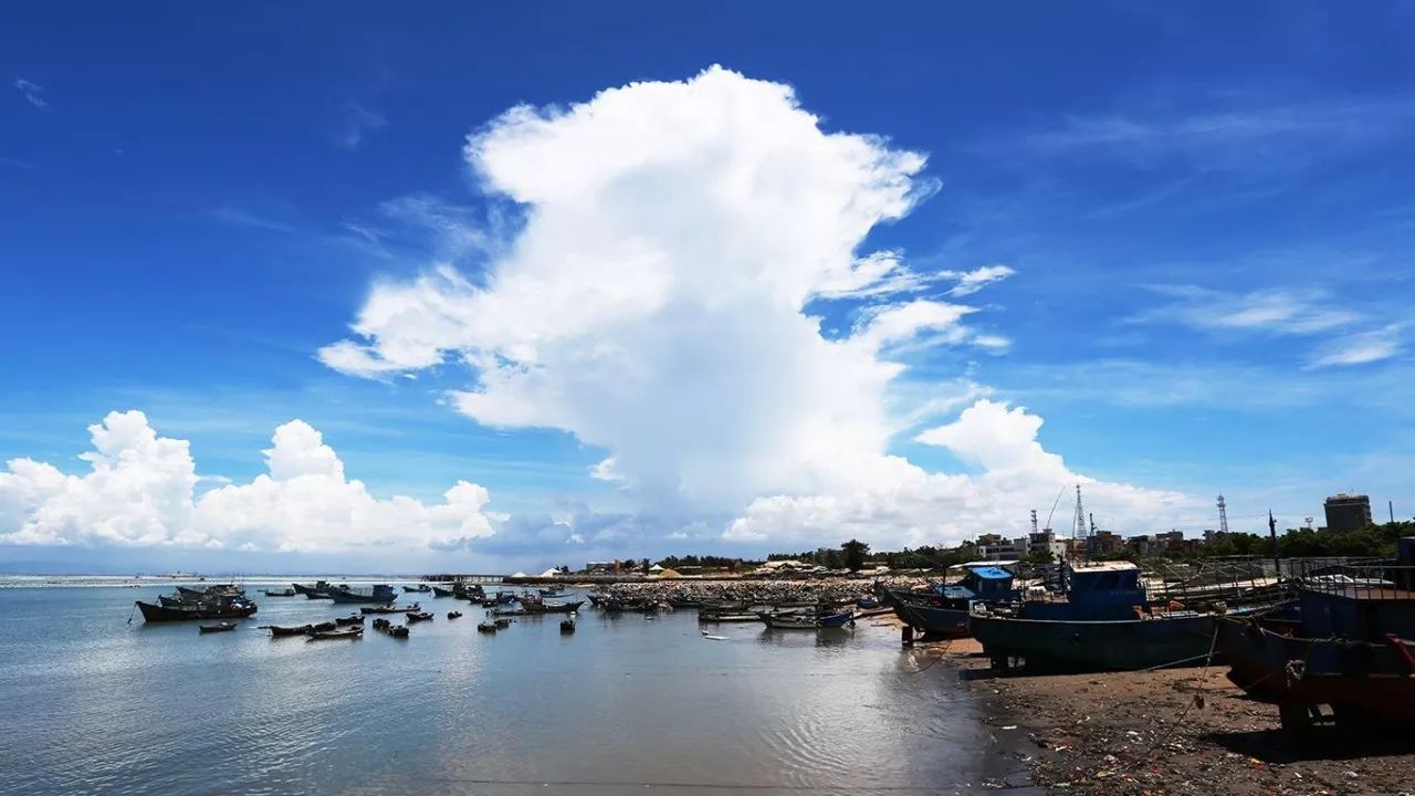 世中运在晋江哪个学校举办,晋江成功申办世中运