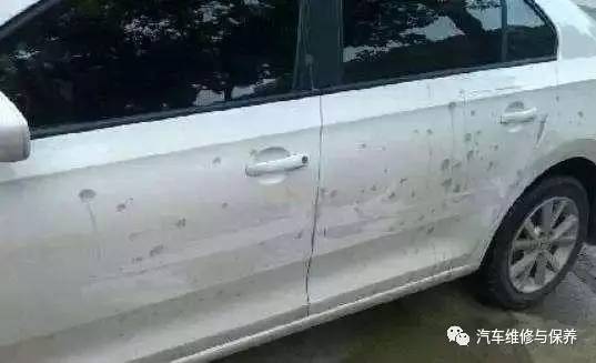 新车买半年就有地方氧化了,白色车漆氧化应该怎样恢复